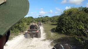 backup/qn9f6ojwyb9j4pp0qf2x1na6930km1.jpeg