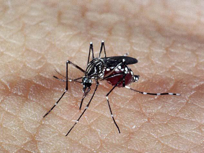 Casos confirmados de dengue no RN crescem quase 200% em 2022