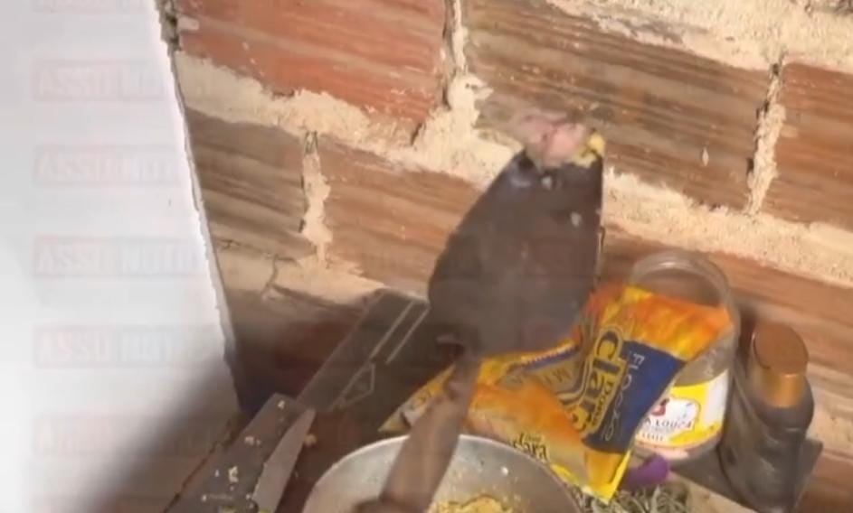 CRIME BRUTAL: Homem esquarteja e cozinha cachorro no interior do RN