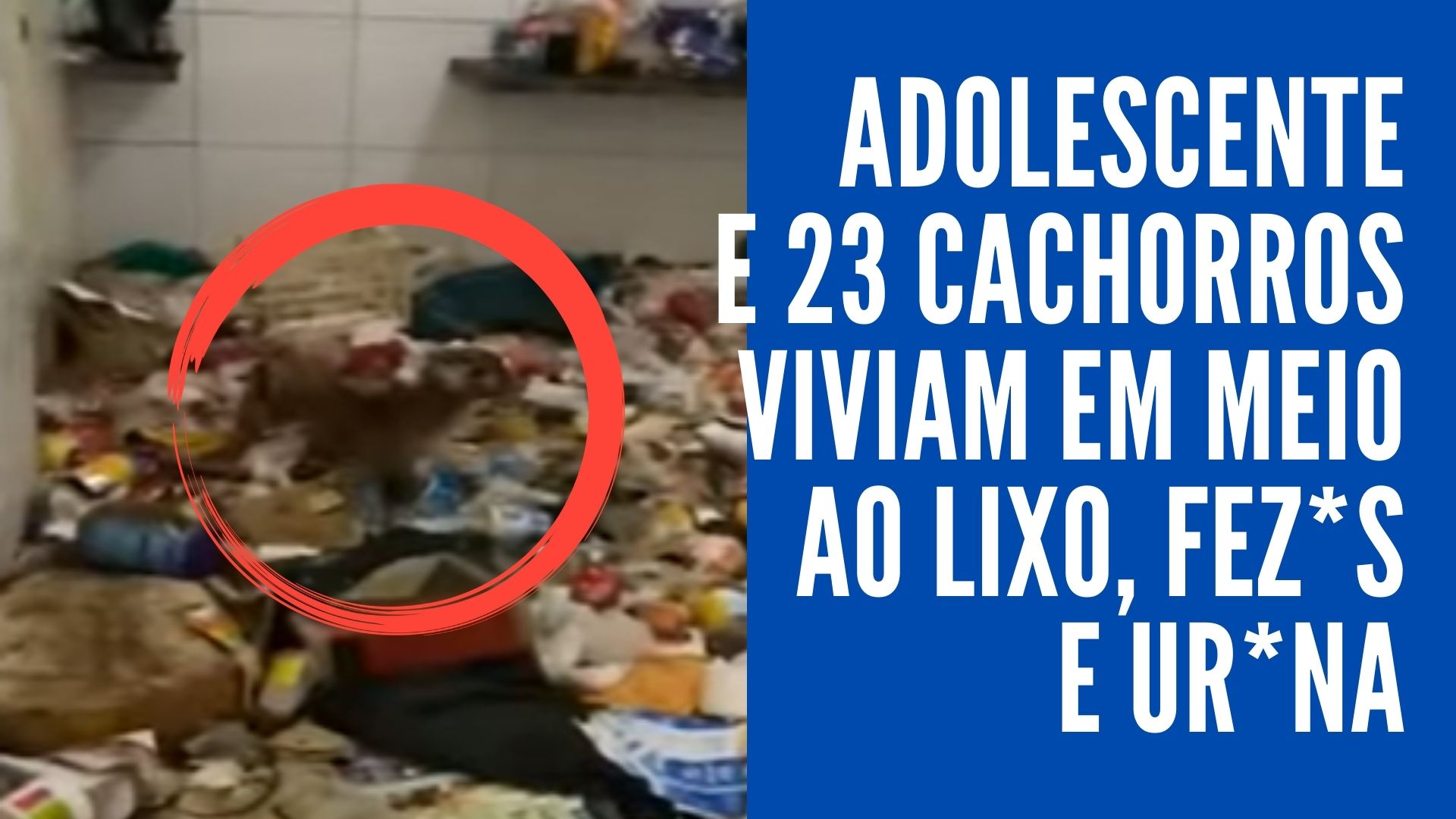 [VIDEO] 'Casa dos Horrores' em Mossoró tinha adolescente em choque e canibalismo animal; Mulher foi presa