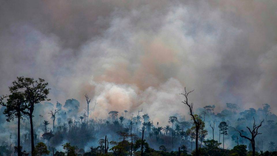 Queimadas na Amazônia e no Cerrado atingem maior número para junho em 16 anos