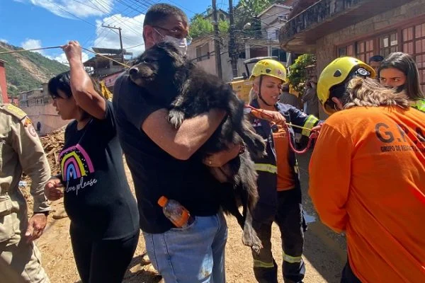 Cadela cega e idosa é resgatada em casa abandonada em Petrópolis