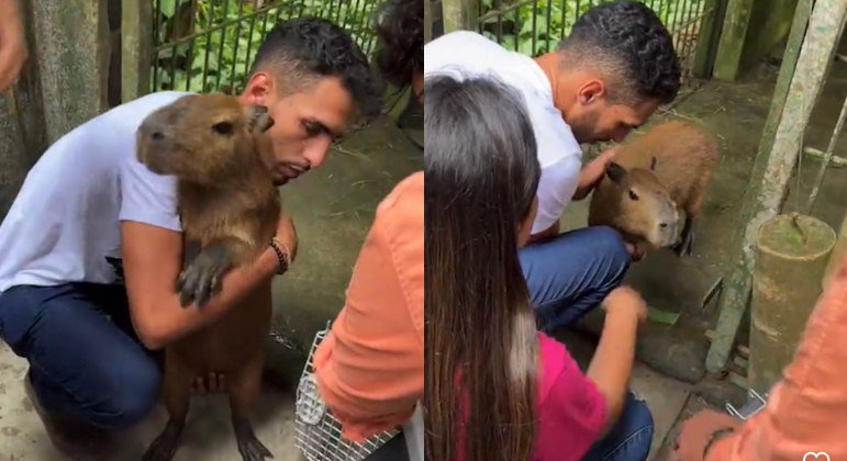 Entenda o caso da capivara Filó que envolveu influenciador, deputada, apresentadora de TV e Ibama