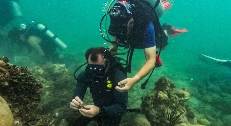 Temperaturas do oceano no sul da Flórida atingem níveis de banheira de hidromassagem