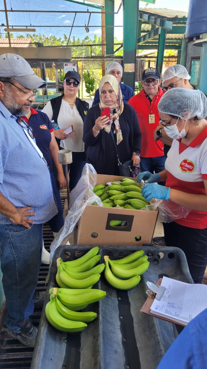 Rio Grande do Norte vai exportar banana para o Egito